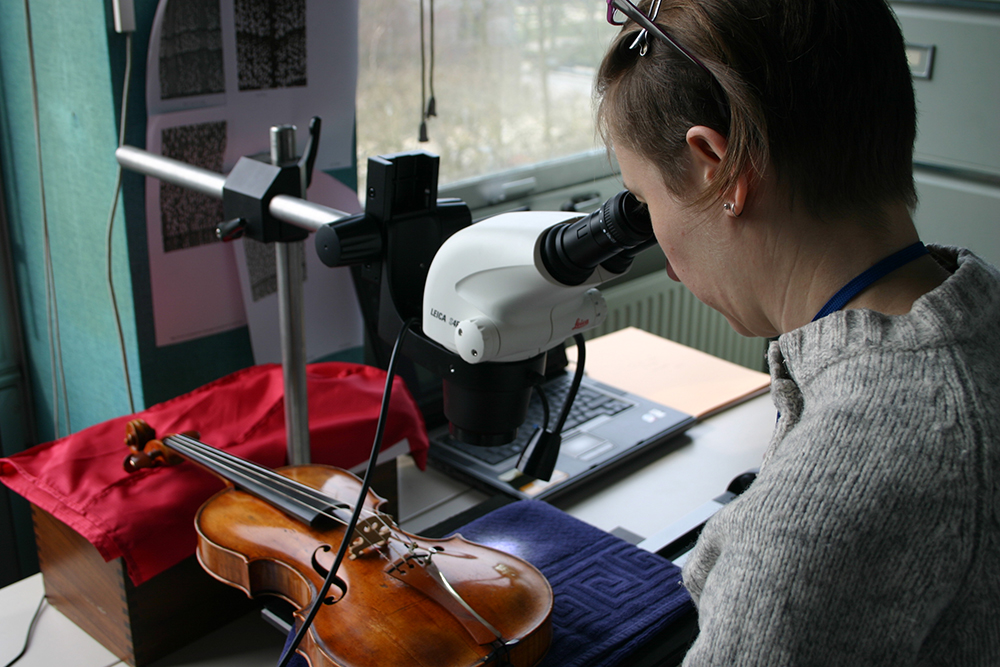 4. Enregistrement sous loupe binoculaire des largeurs de cernes visibles sur la table d’harmonie d’un violon par Pascale Fraiture © photo de laboratoire, KIK-IRPA.
